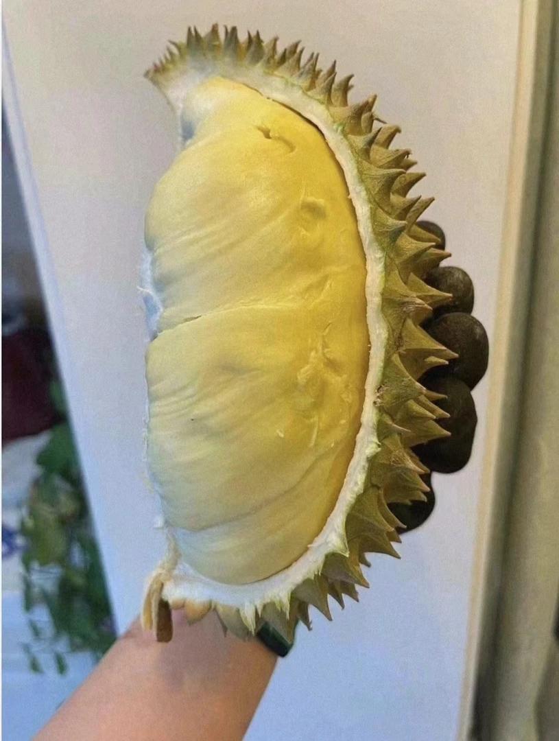 泰国树熟金枕  纯果肉
