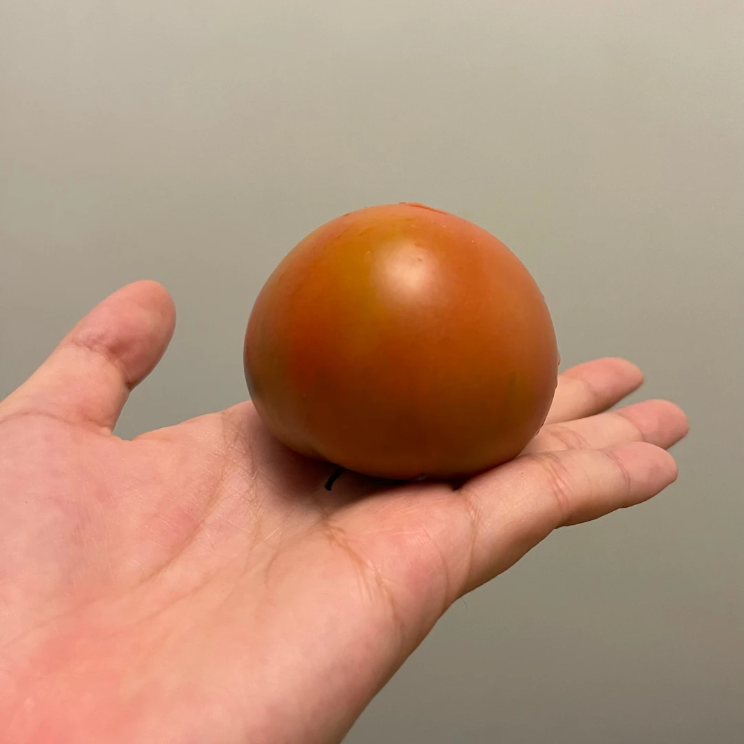 特产碱地柿子三斤中果草莓柿子铁皮柿子碱地番茄盘锦碱地番茄