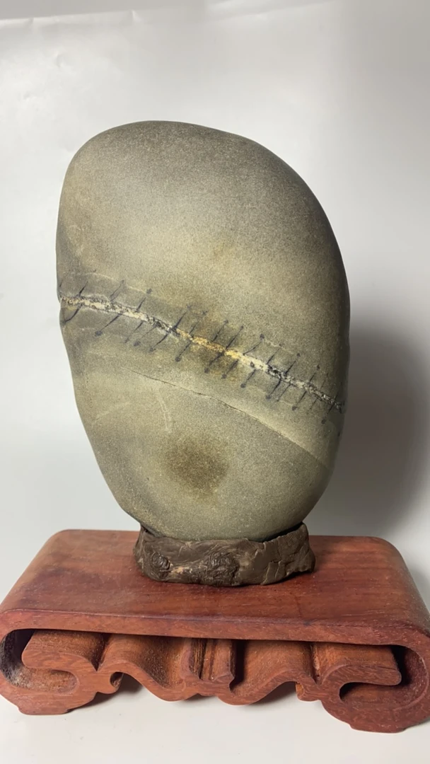 77号奇号象形石如图一物一拍不含底座