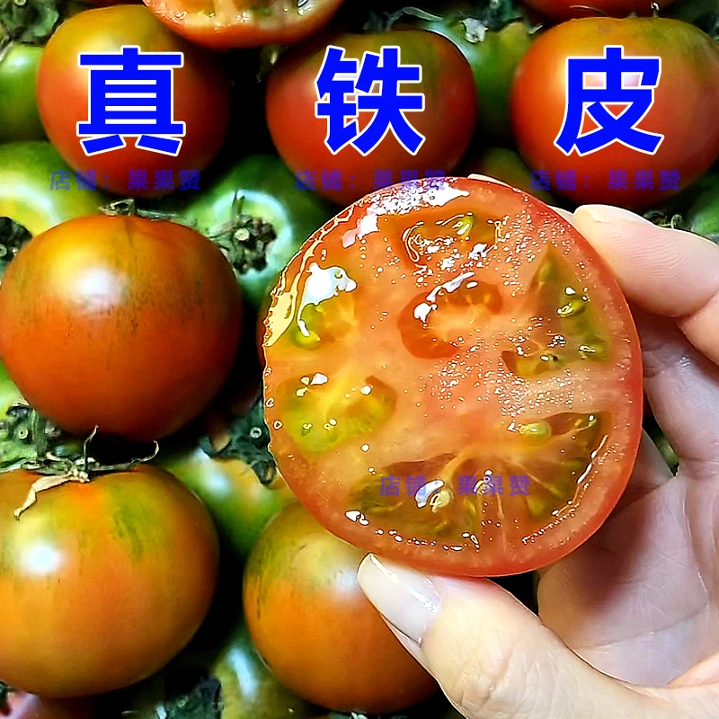 真铁皮【自然熟】5碱地绿腚铁皮柿子新鲜西红柿草莓柿子水果小番茄