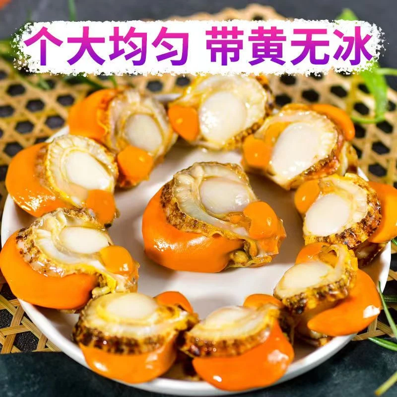 连云港 发货 个大带黄扇贝肉 250克/包