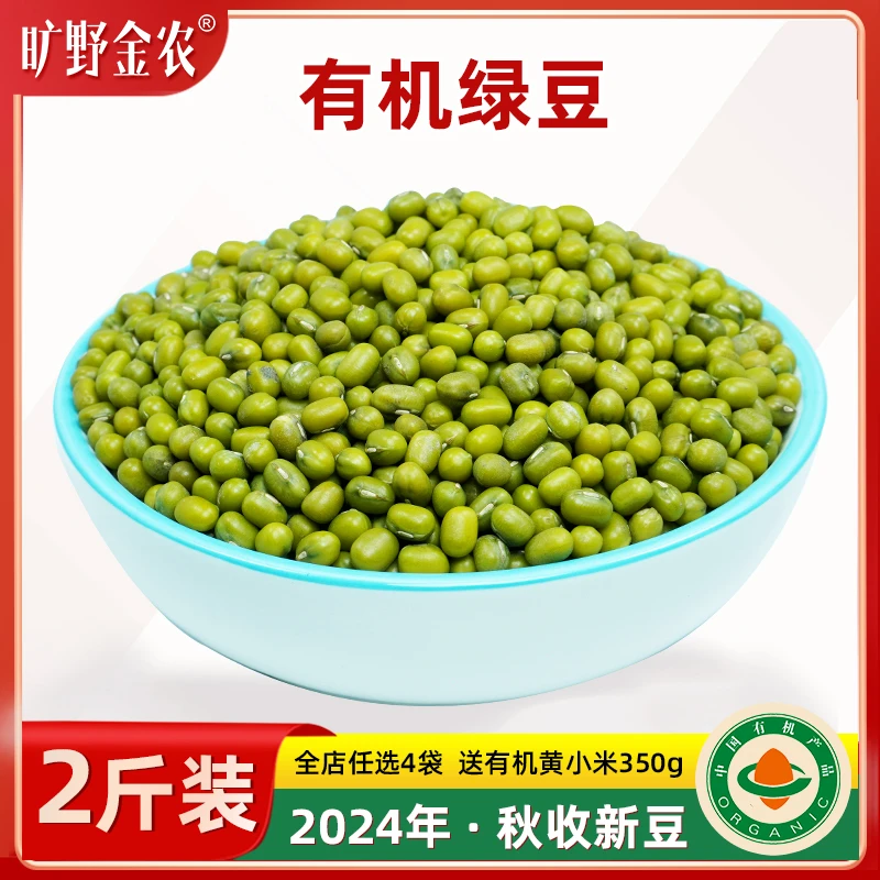 新鲜优质东北有机绿豆发豆芽专用绿豆汤粥农家绿豆当季新豆真空
