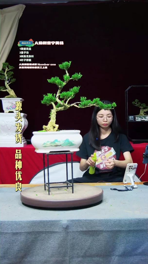 【闪购商品】黄杨盆景黄杨盆景66