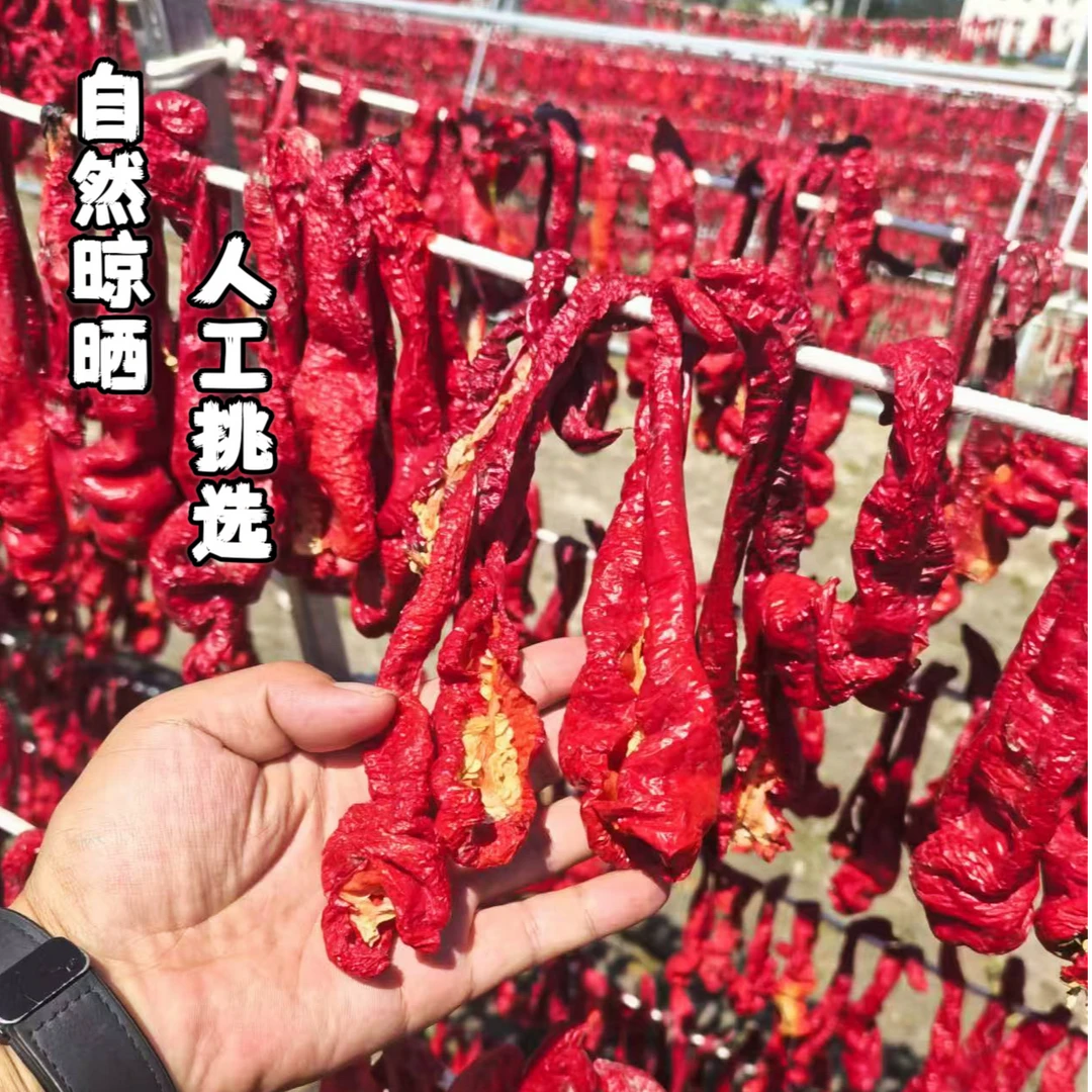 新疆自然风干焉耆肉辣皮子皮薄肉厚微辣香甜