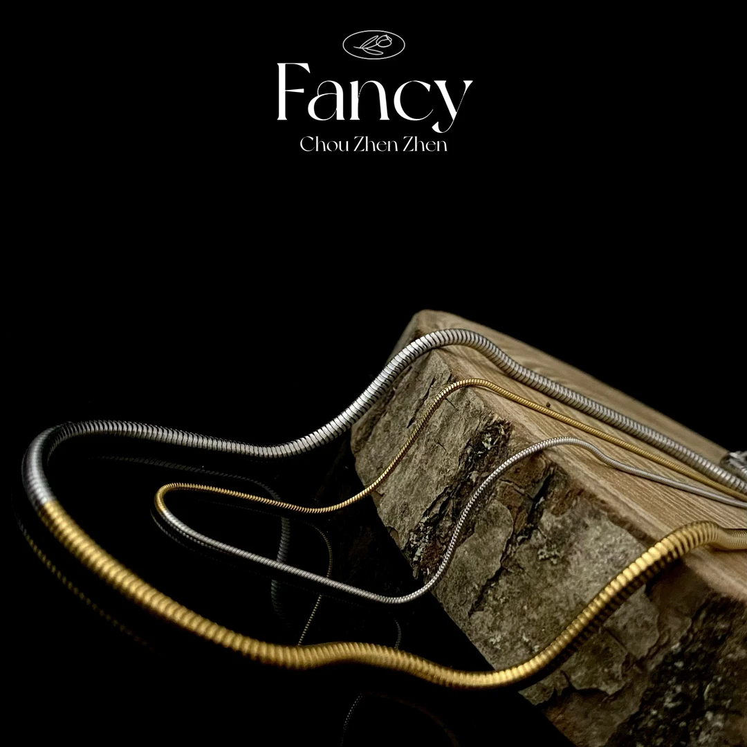 钛钢项链 【双色链】欧美轻奢简约时尚百搭设计师款撞色项链51.5cm