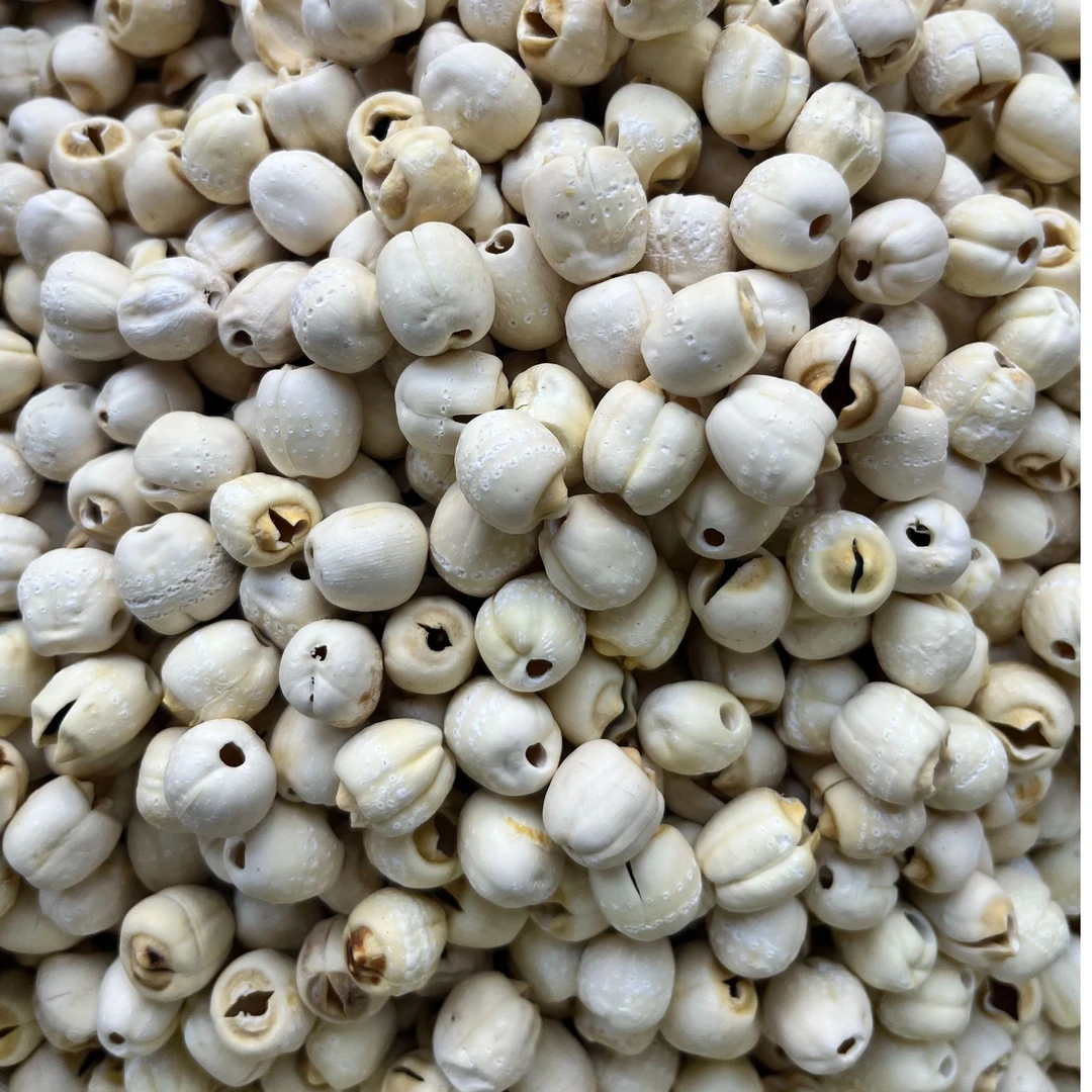 英姐甄选白莲子新货大粒500g磨皮白莲特产无硫湘潭莲子干货