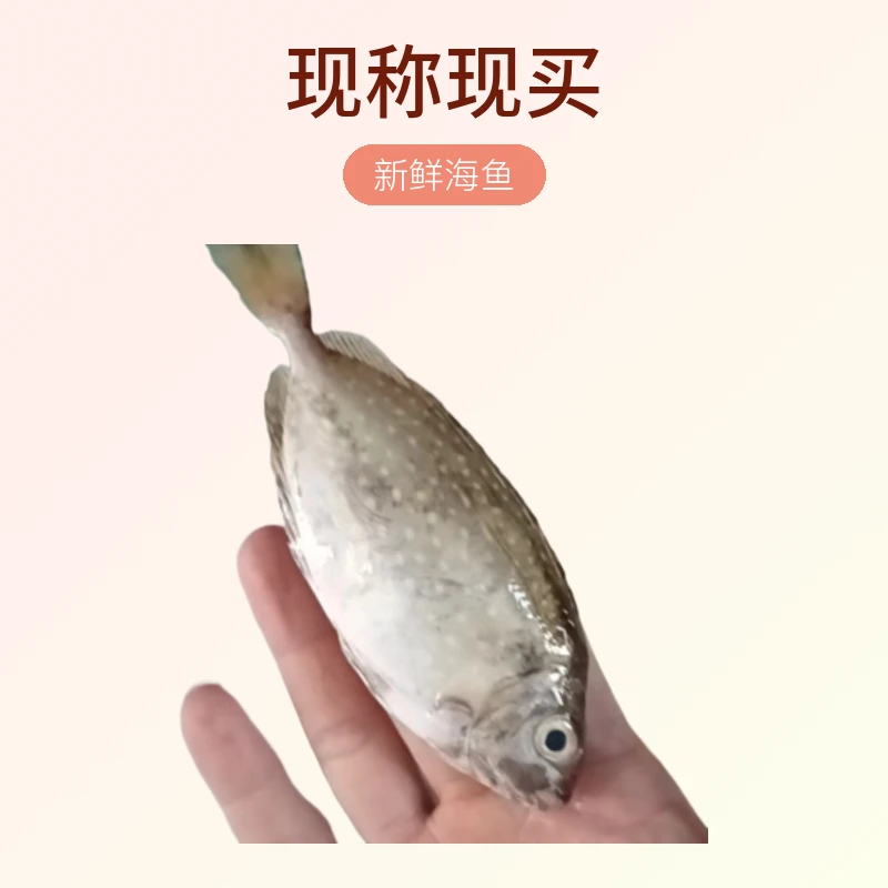 （现场直播）现称现买以直播间展示为准海鲜杂鱼小船海鱼3斤
