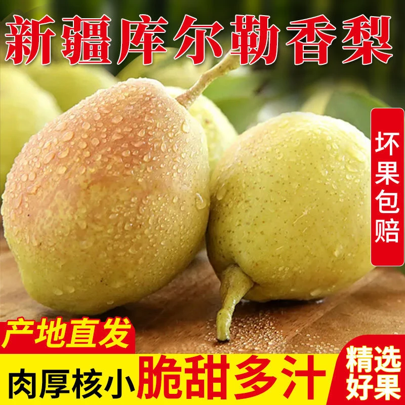 新疆库尔勒香梨当季新鲜水果食用口感纯甜酥脆多汁包邮发货净重