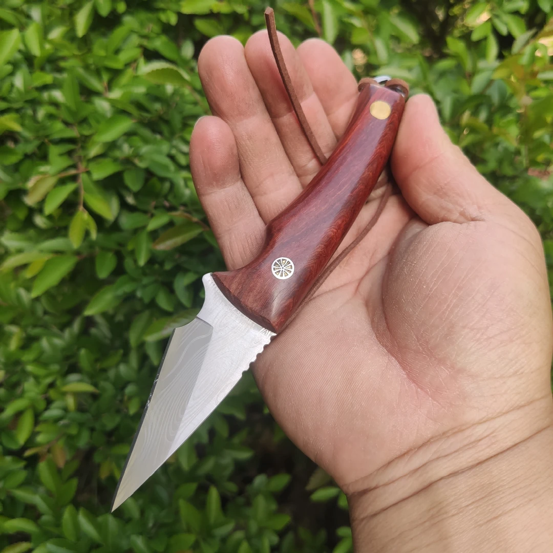 盆景树桩嫁接，果树嫁接，松柏嫁接，嫁接工具好用工具，轻松嫁接
