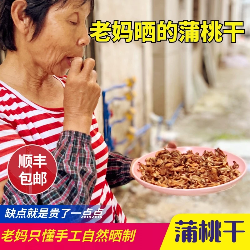 水蒲桃干菩提干叮当果铃铛果葡桃果手工晒制泡茶泡酒煲汤浓郁50G