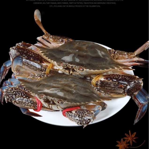 舟山鲜活梭子蟹公母混搭飞蟹白蟹海蟹螃蟹顺丰包邮水产