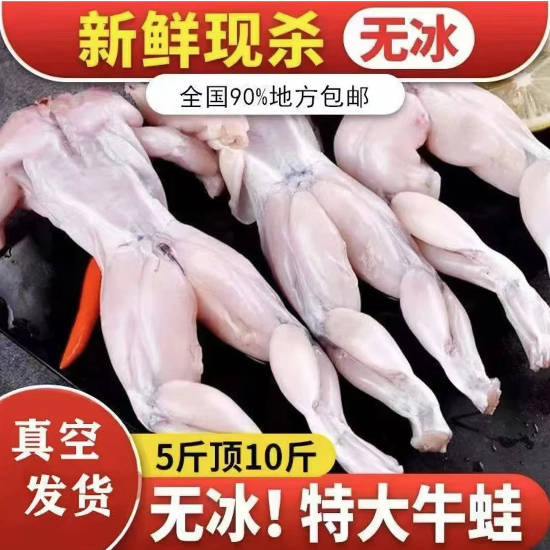 鲜活现杀麻辣冷冻牛蛙 大个头 免处理3/5/10斤火锅烧烤顺丰包邮