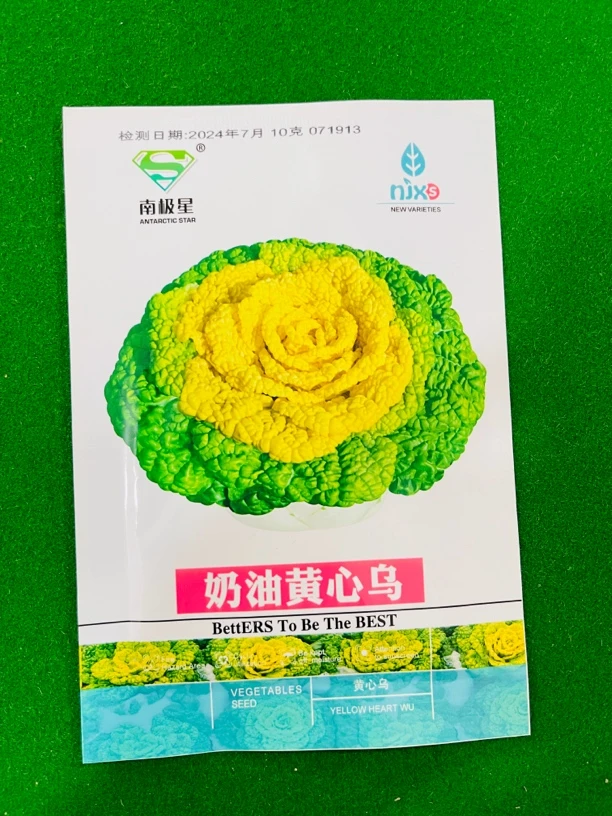 乌塌菜种子（拍一发二）