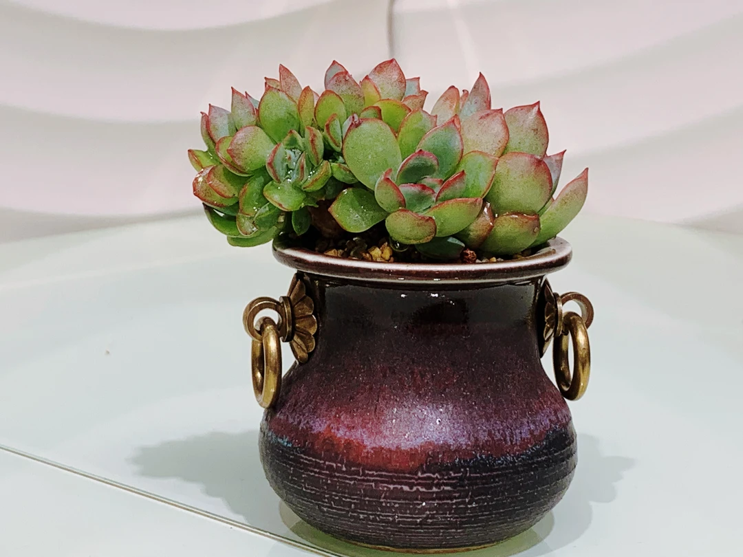 喵喵家精品中大号铜环盆多肉花盆复古个性款纯手工花盆做旧粗陶