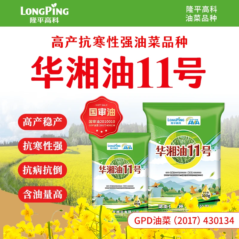 直播专享【华湘油11号】隆平高科优质油菜种子 抗倒 抗寒 抗裂角性