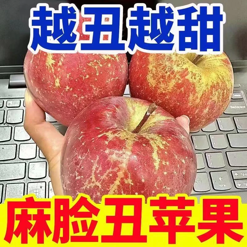 山西运城临猗红富士新鲜脆甜丑苹果净含量5斤/8.5斤水果礼盒装