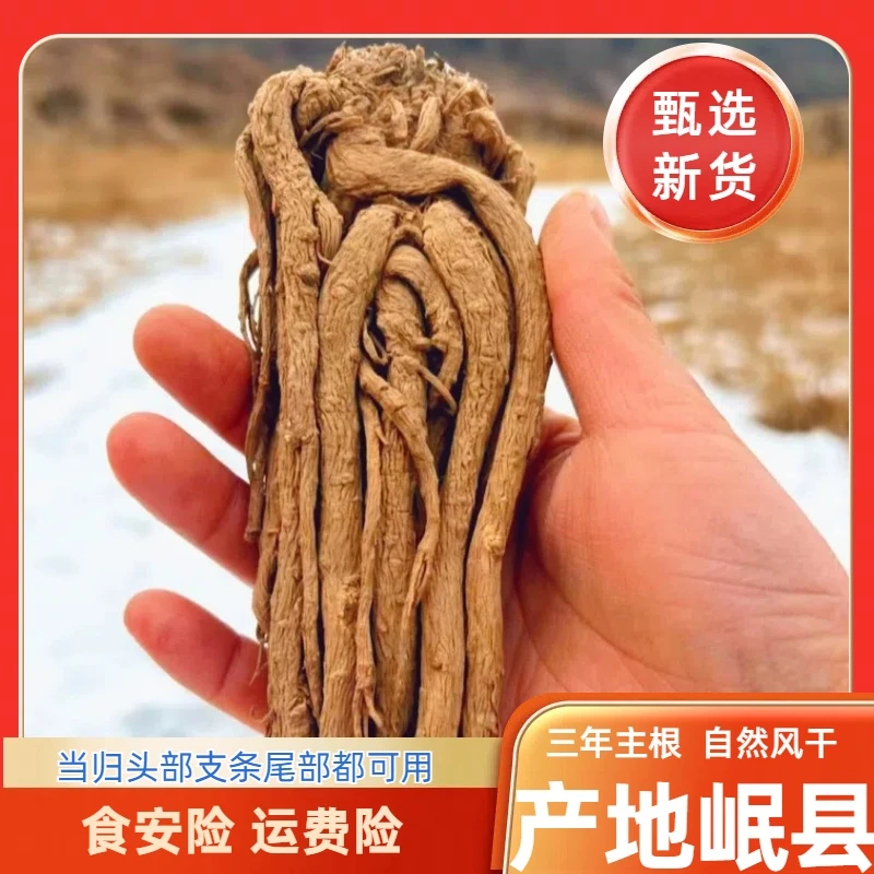 【甘肃岷县整条当归】风干精选当归煲汤原产地新货无熏硫正宗当归