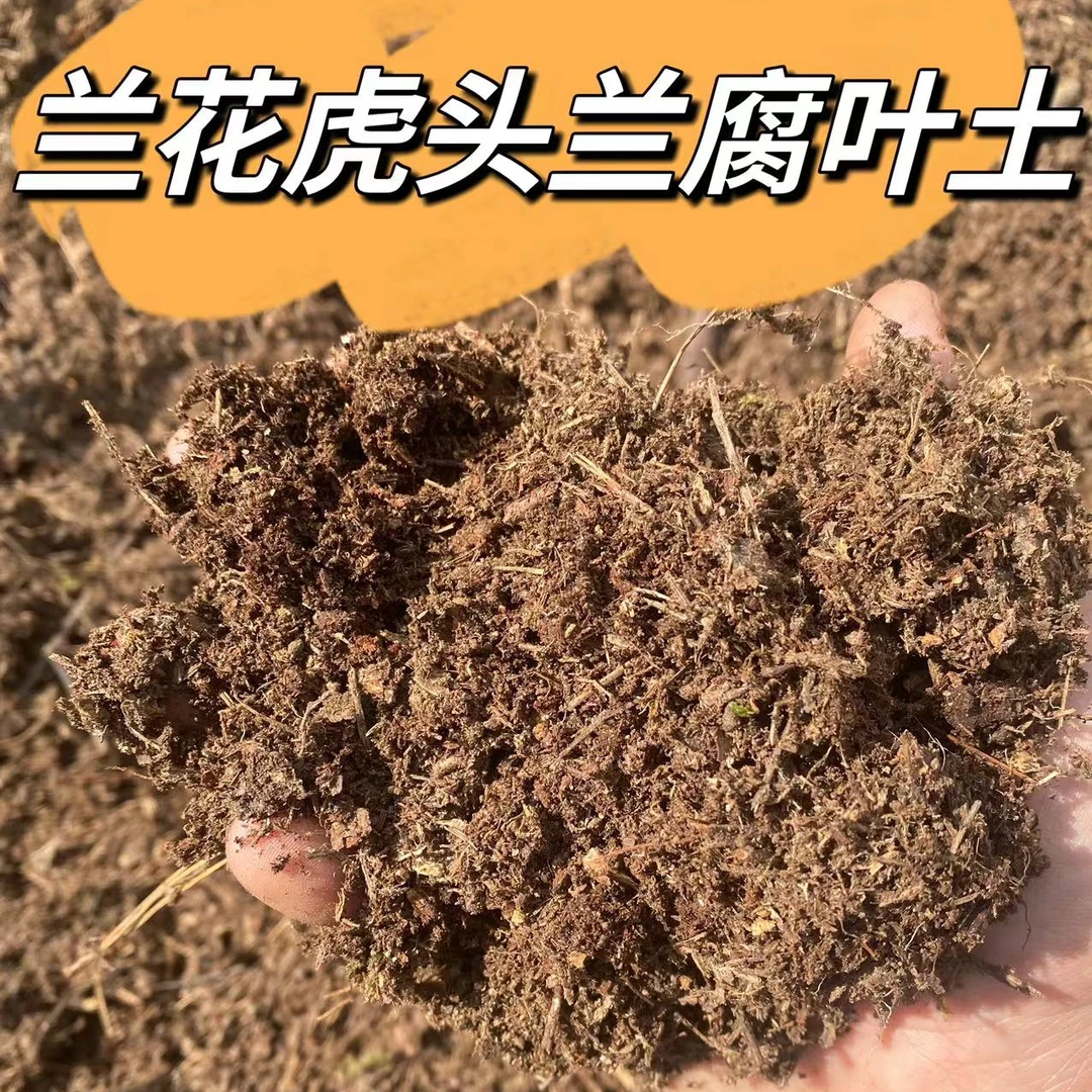 云南（腐叶土）火山灰土层不烧根发苗快