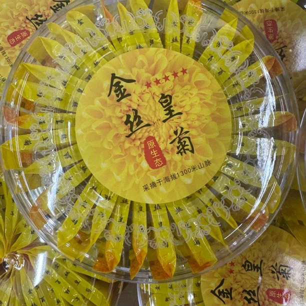 金丝晃菊【宏大鱼胶福利】