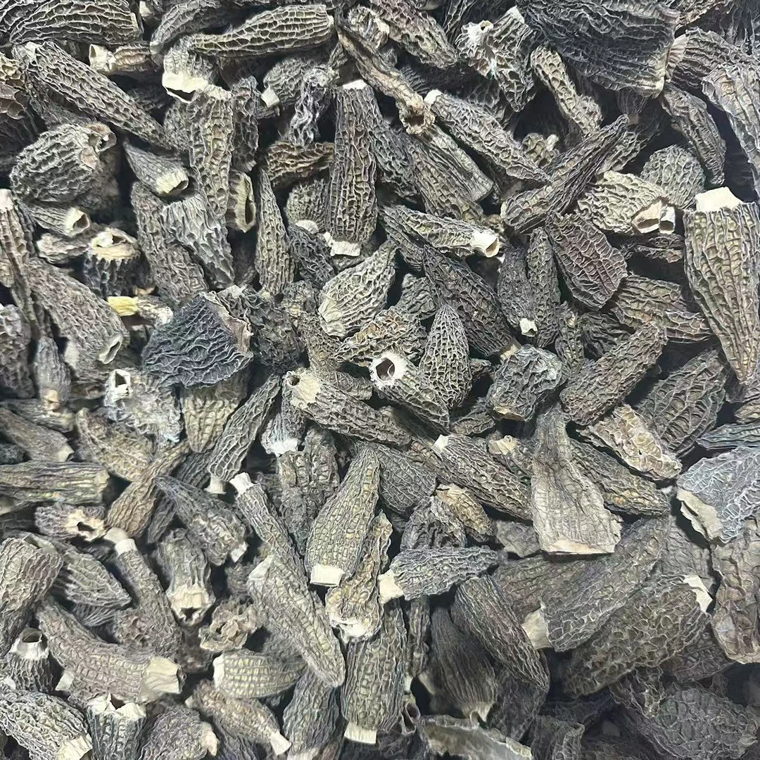 #420羊肚菌【宏大鱼胶福利】