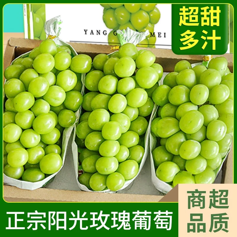 山西运城 晴王纯甜无酸 新鲜时令水果产地直发