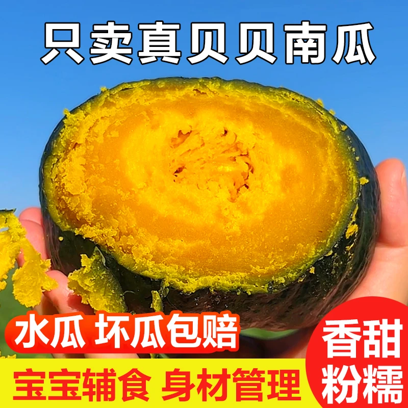 沙漠贝贝南瓜5斤装10斤装板栗味老瓜婴儿辅食粉糯香甜粗粮农场