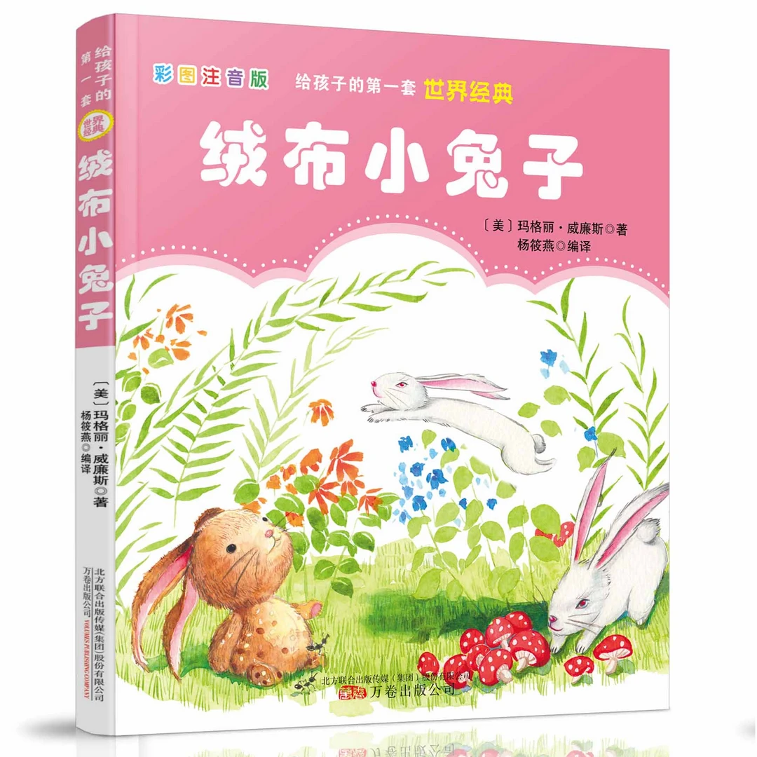 给孩子的第一套世界经典 绒布小兔子 纽伯瑞儿童文学奖得主
