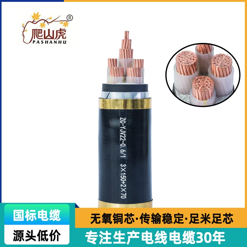 爬山虎国标阻燃YJV 2芯-2.5/4/6/10/16平方纯铜电缆【硬芯】