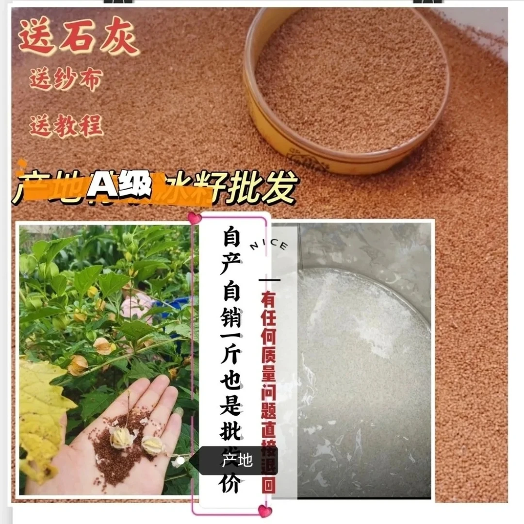 贵州赫章木瓜冰粉籽