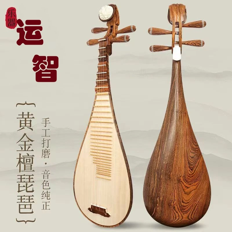 Z品牌正品 琵琶精品黄金檀成人儿童专业演奏手工制作原木抛光厂家