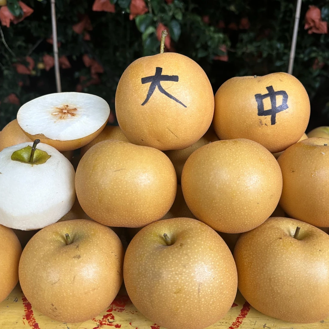 山东正宗秋月梨地头直发脆甜多汁细腻无渣果肉洁白透亮京东包邮