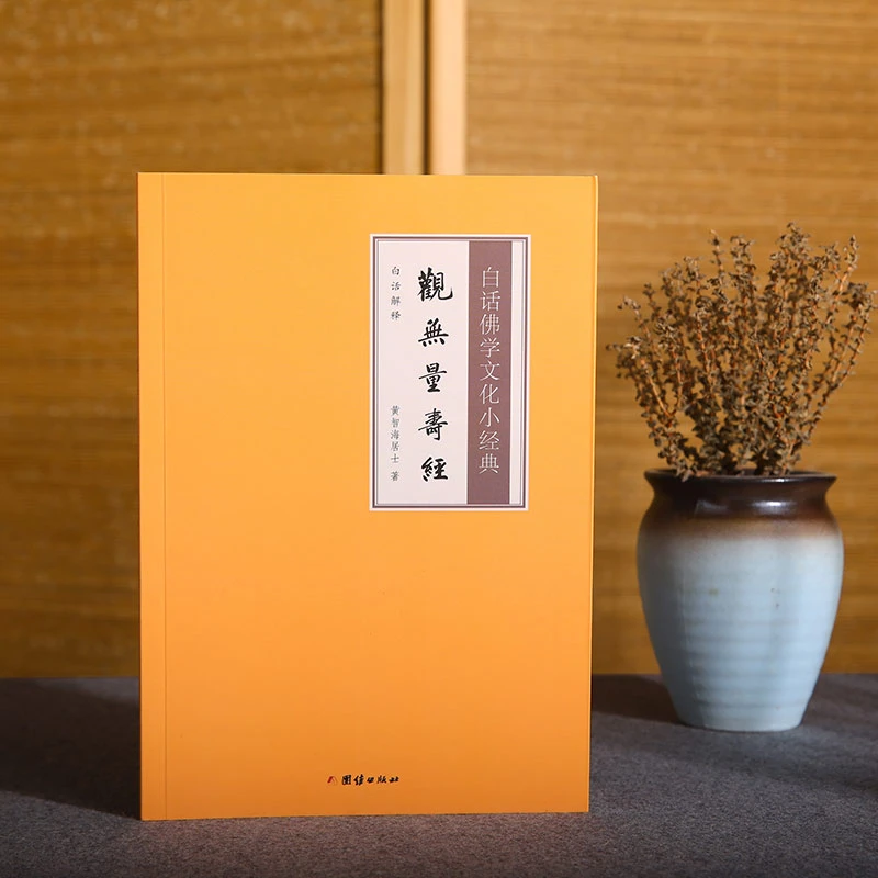 白话佛学文化小经典《观无量寿经》白话译文 传统文化书籍