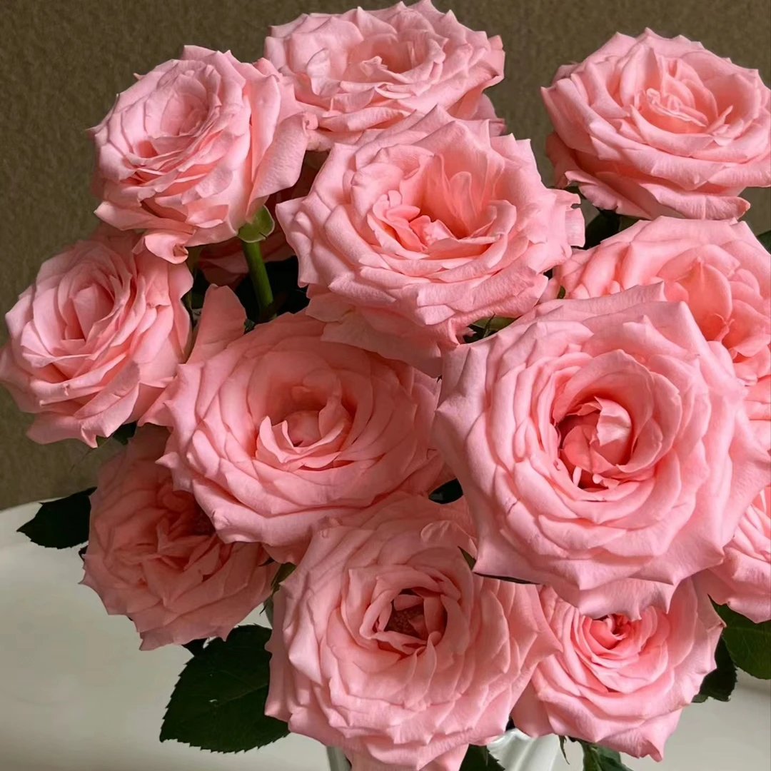 【戴安娜10枝+洋桔梗1把+洋甘菊1把+向日葵2枝+叶子1把】