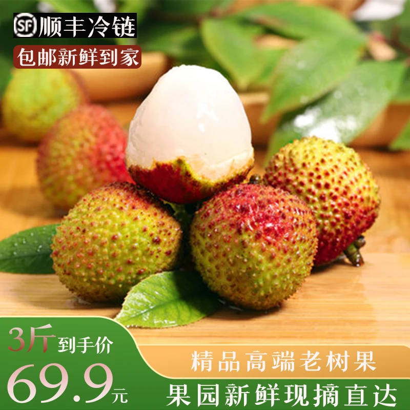 【顺丰冷链】3斤到手69.9海南妃子笑荔枝新鲜水果头茬当季水果现摘