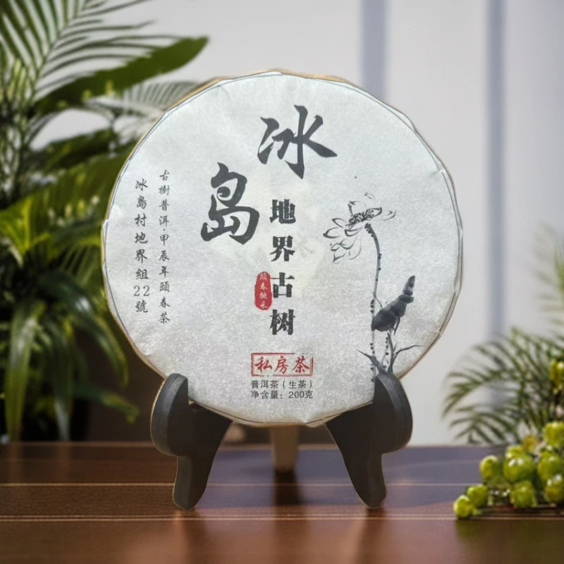 【冰岛地界22号古树】2024年·古树头春·200克生茶