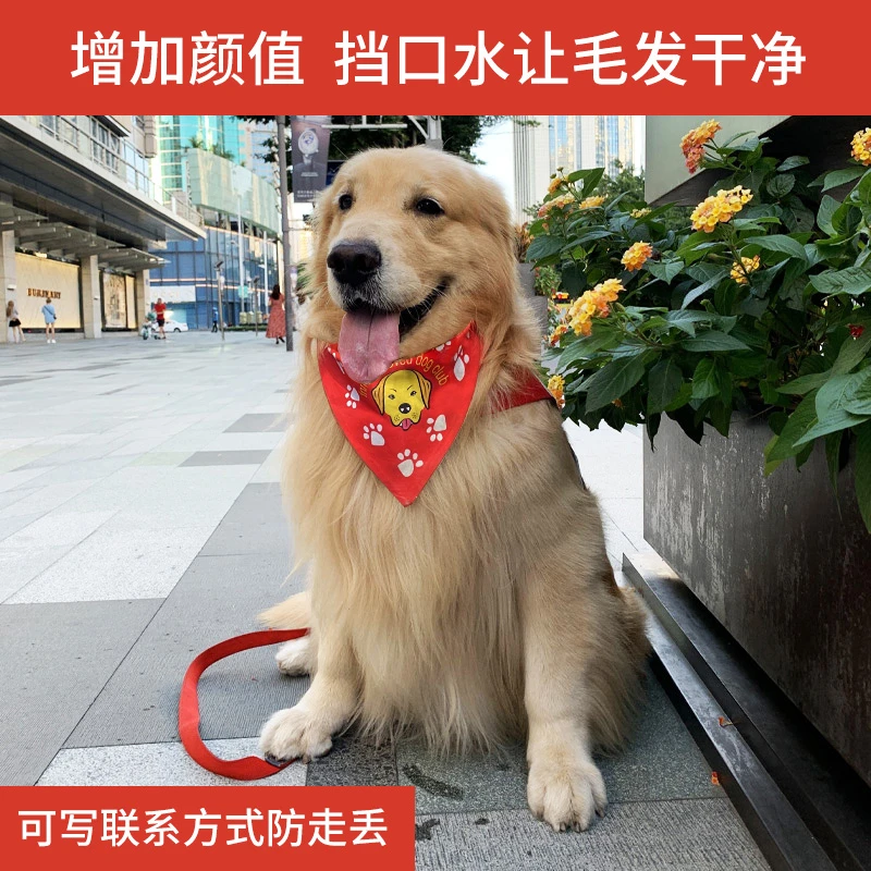 金毛A弟狗狗口水巾
