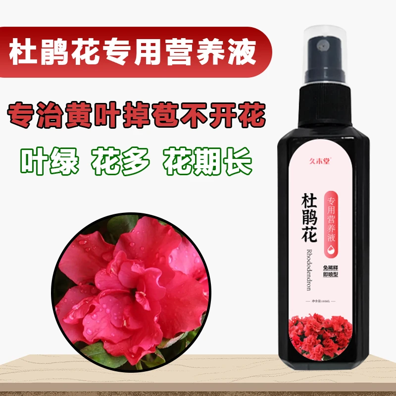 救活】杜鹃花专用肥免稀释营养液预防干苞叶发黄不开花叶面肥