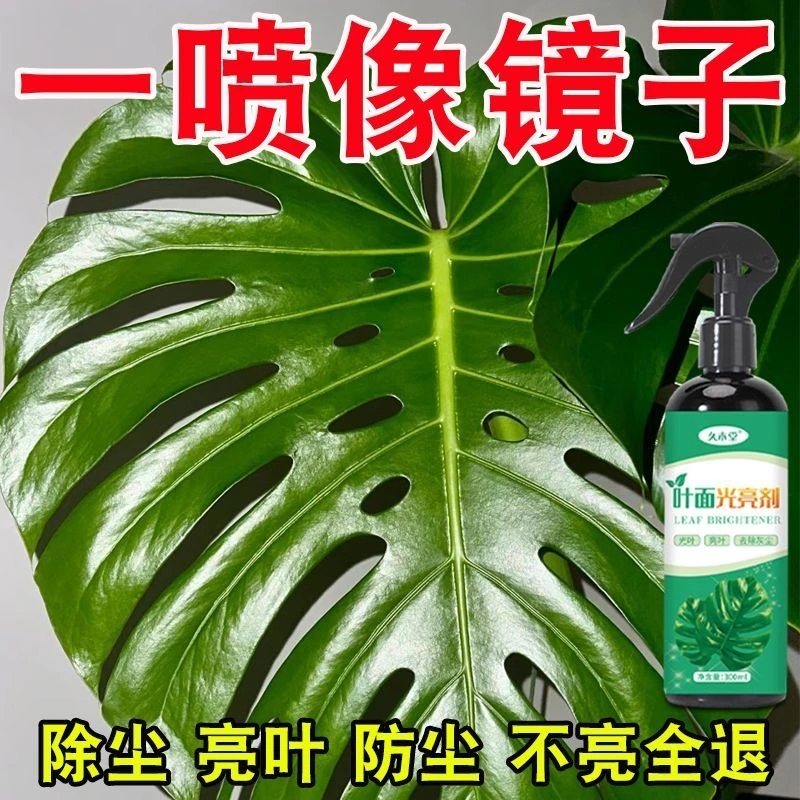 专用】植物叶面光亮剂绿萝龟背竹天堂鸟防黄叶除尘绿植通用叶面肥