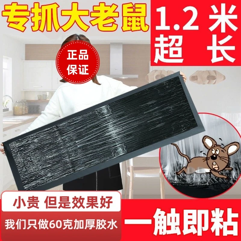【封门堵路】1米2超大老鼠贴好逮强力粘鼠板灭鼠魔毯强力捕抓大老鼠