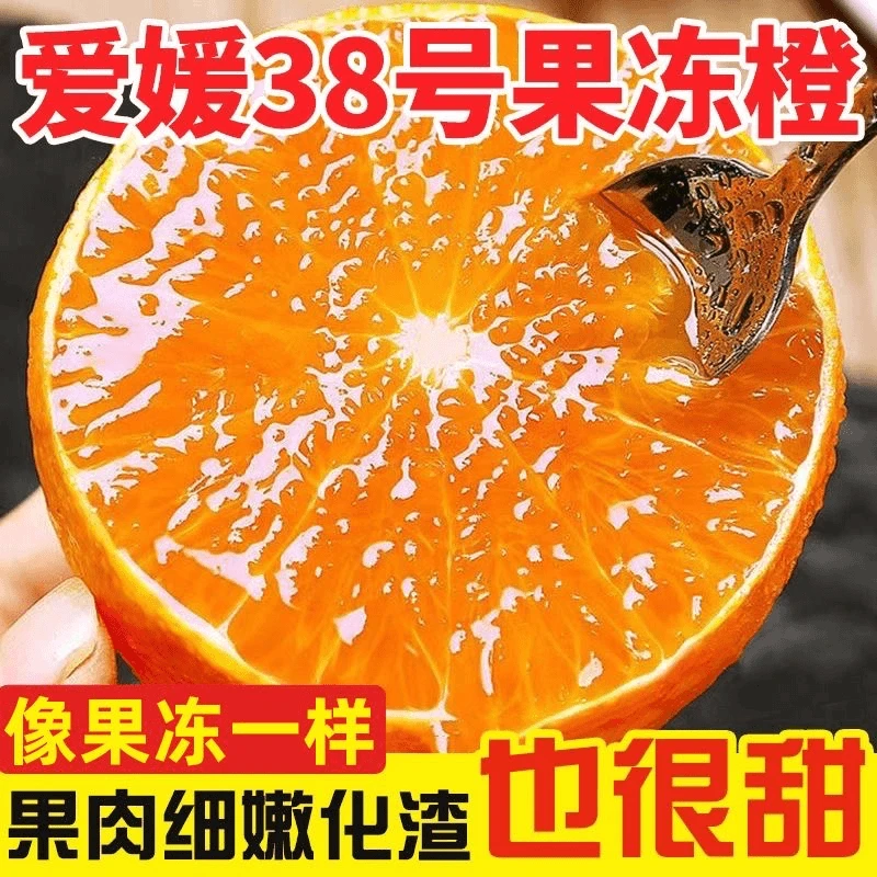 【试吃款】正宗爱媛38号果冻橙四川当季新鲜水果整箱纯手剥榨汁专用