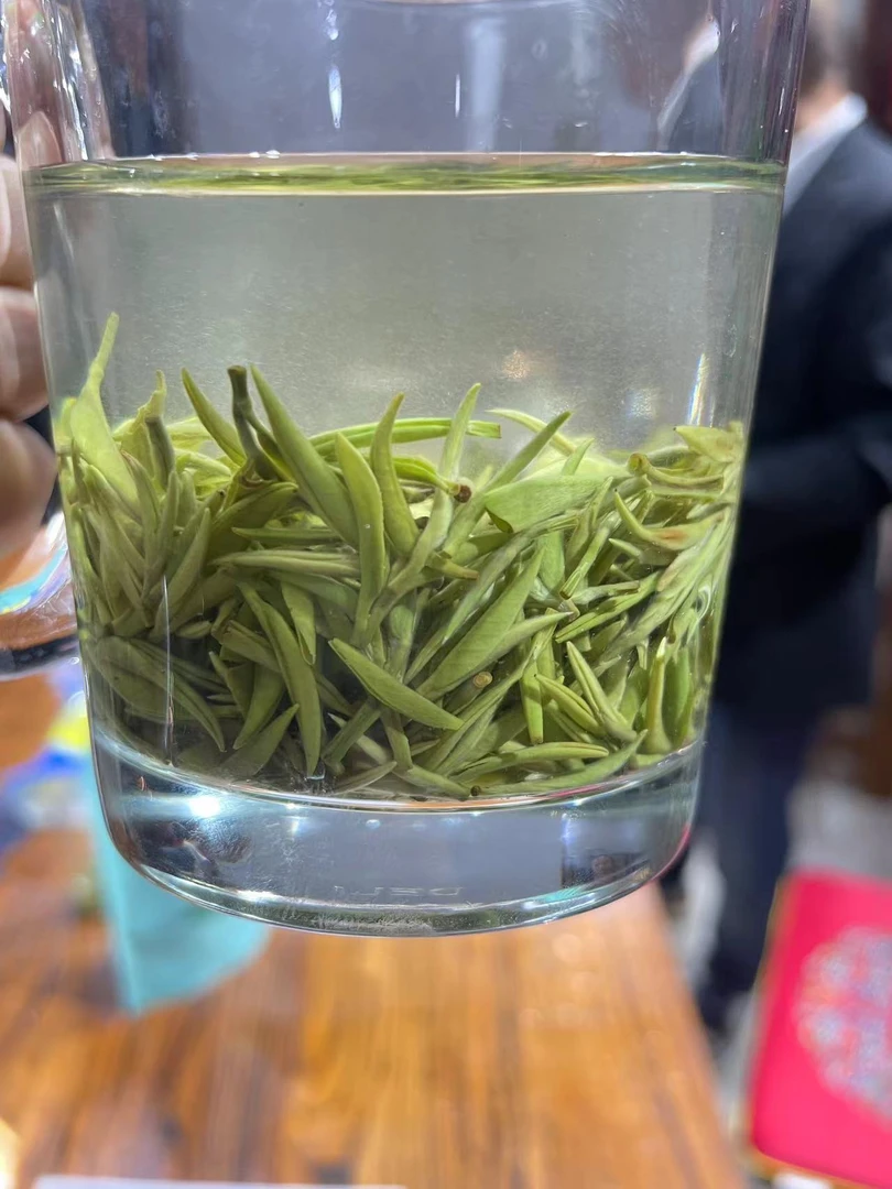 2025年信阳毛尖浉河港手工明前小芽