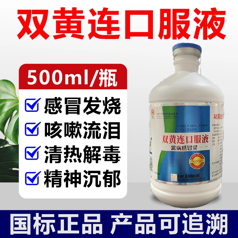 双黄连兽药双黄连口服液兽用鸡鸭鹅禽感冒猪牛羊呼吸道抗病毒清瘟