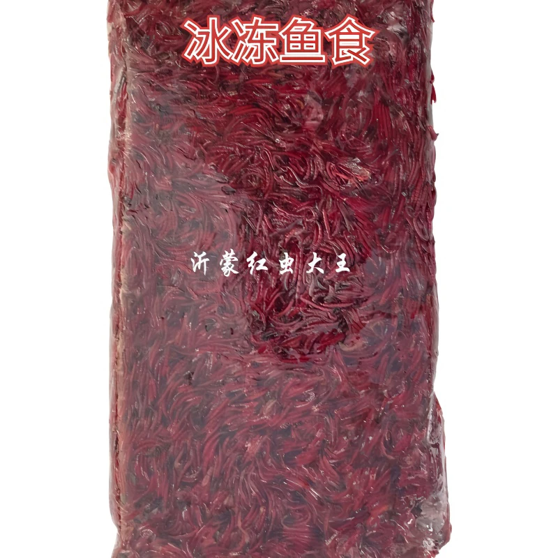 精品红虫母虫娃娃鱼水族观赏鱼鱼食冷冻红虫冰冻红虫鱼虫赤虫鱼粮