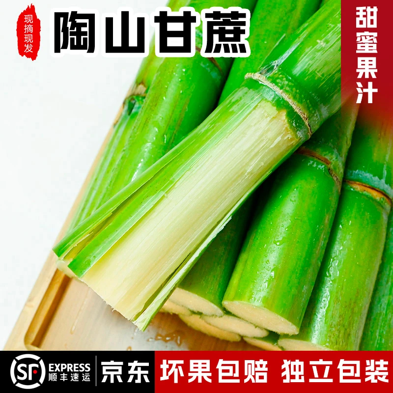 无水裂精品陶山甘蔗当季温州特产新鲜水果绿皮青皮果蔗5斤礼盒