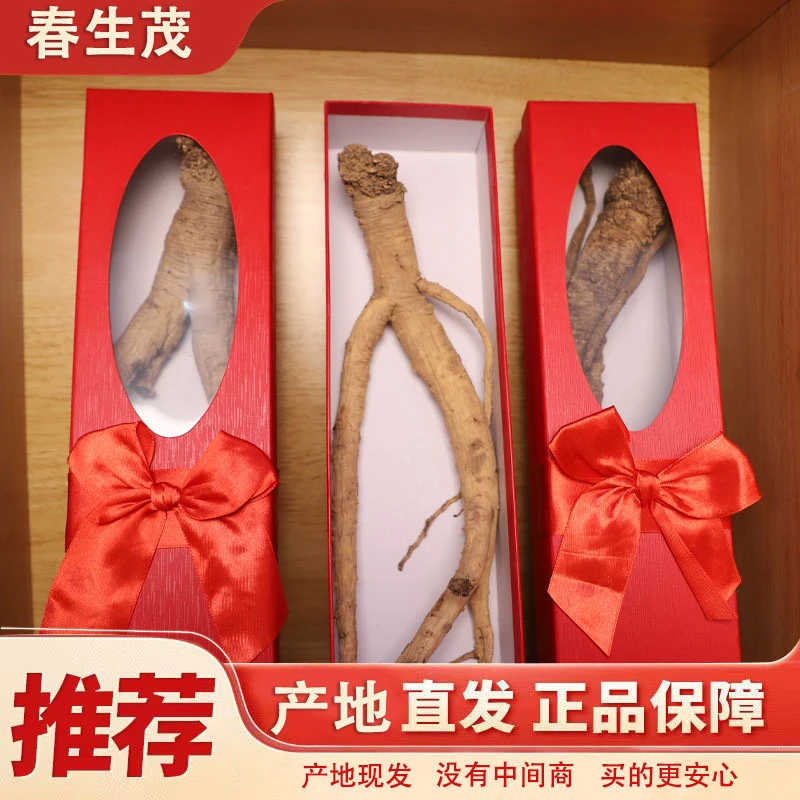 景古甄选优质大野生党参