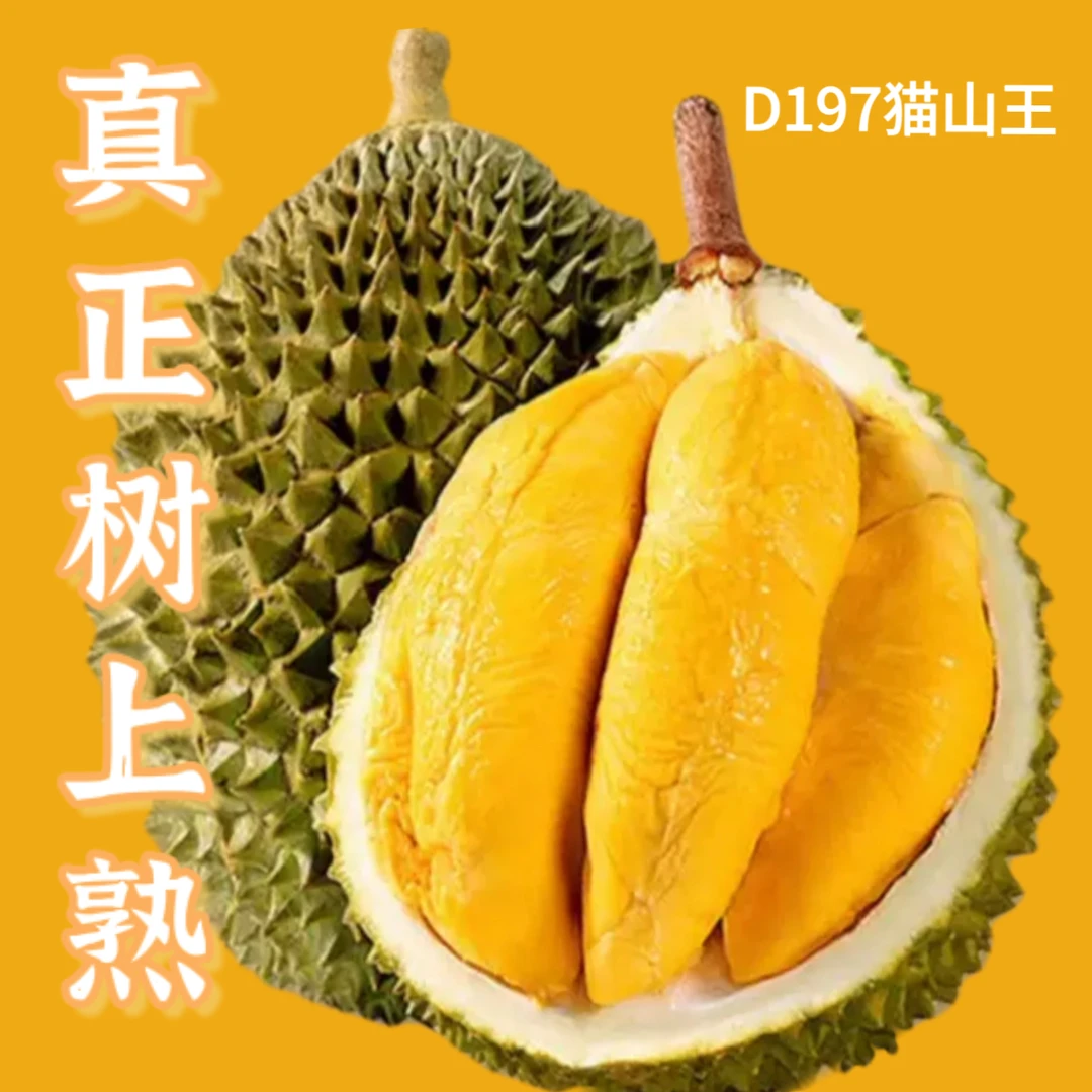 【鲜果】新鲜猫山王D197AA果马来西亚树熟榴莲香浓醇香自带苦味肉质软（开果不退）500g 核小猫山王马来西亚