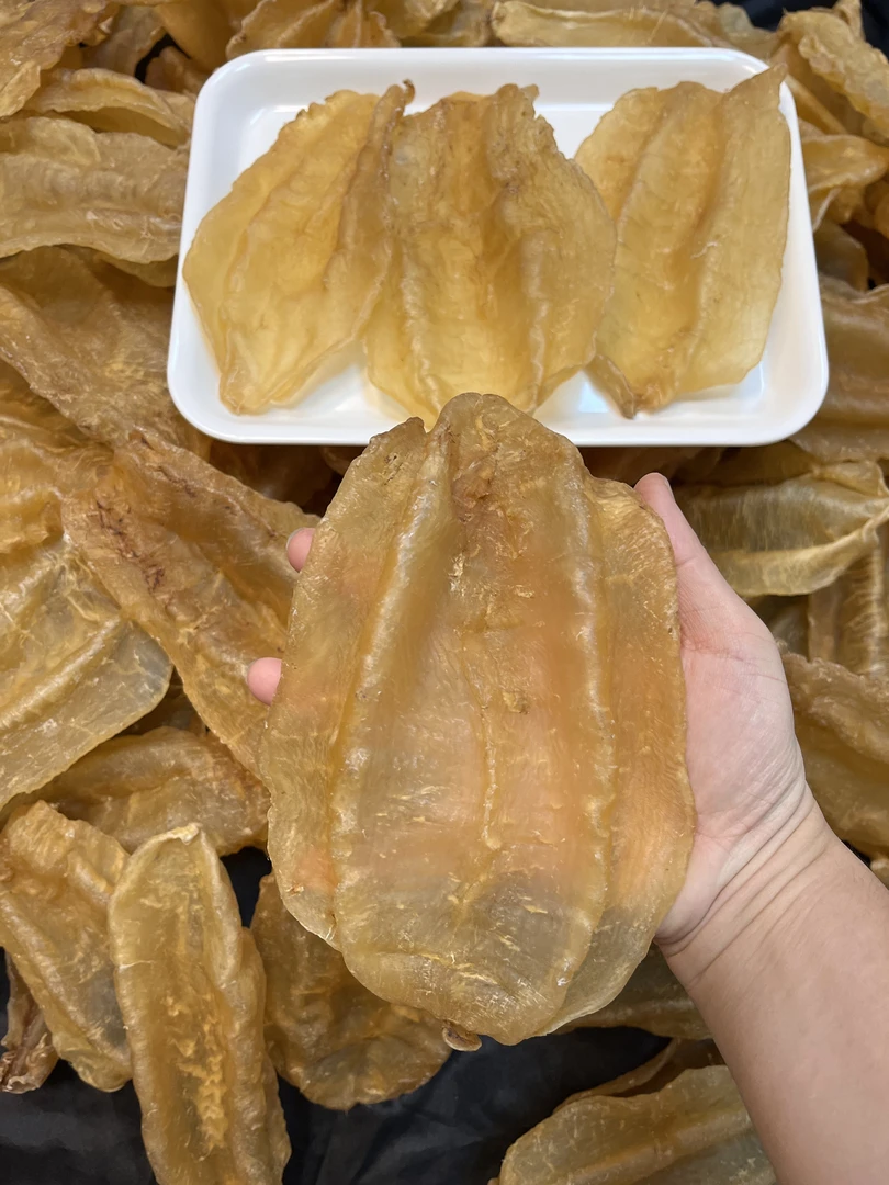 广东汕头  花胶美眉  斗湖胶6头