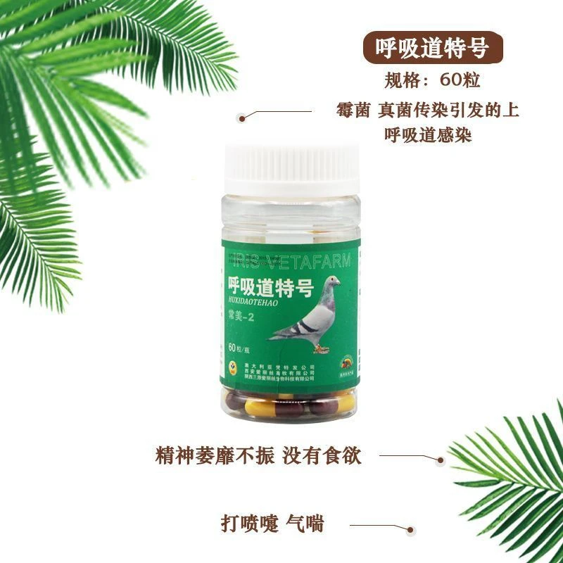 爱丽丝呼吸道特号胶囊粉剂赛鸽信鸽呼用品（新老包装交替发货）
