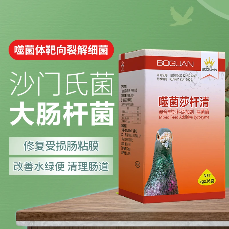 搏冠噬菌莎杆清赛鸽信鸽用品