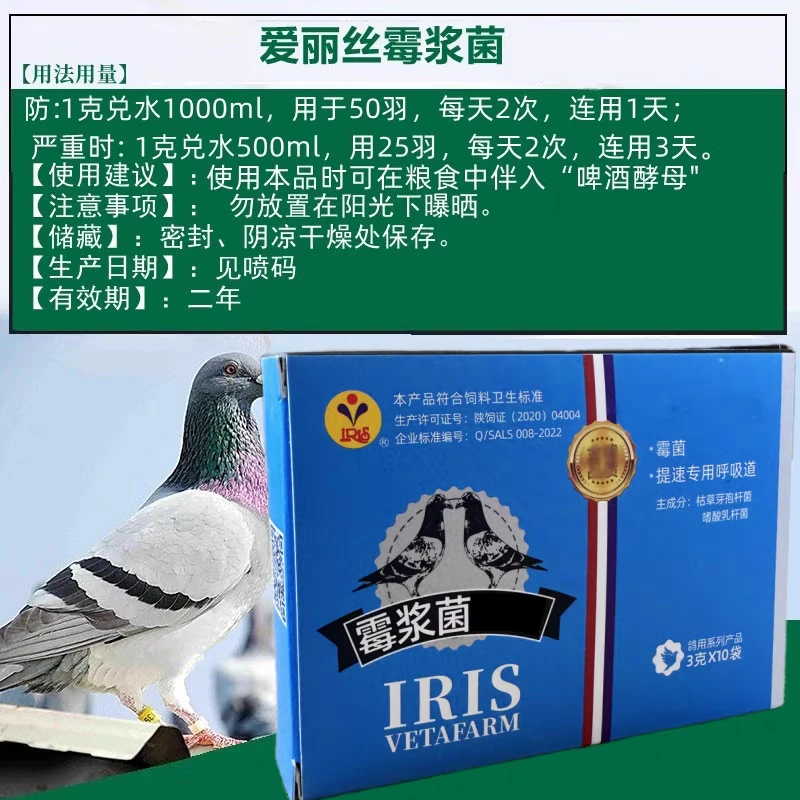 爱丽丝霉浆菌速效赛鸽呼吸道鸽子黑鼻头下痢清呼吸提速(高能感)